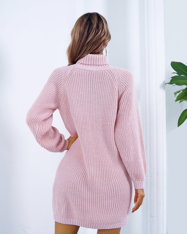 Turtleneck Long Sweater Dress