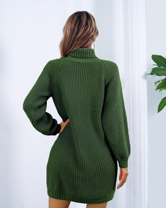 Turtleneck Long Sweater Dress